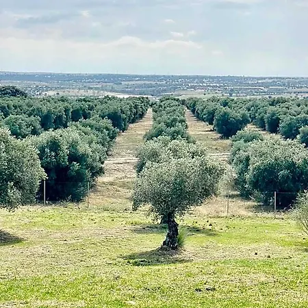 El Bosque De Ribera