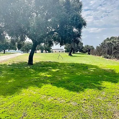 El Bosque De Ribera *