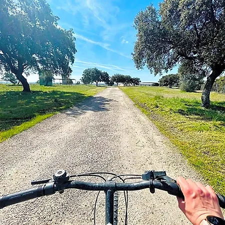 El Bosque De Ribera * Escalona