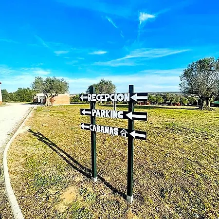 El Bosque De Ribera *