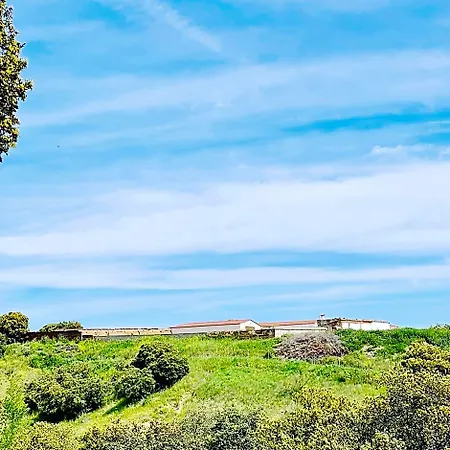 El Bosque De Ribera