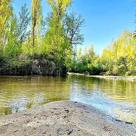 El Bosque De Ribera *